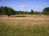 Venta de Campo de 95 hectáreas con 3 Casas en Solís, Dpto. de Canelones