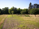 Venta de Campo de 95 hectáreas con 3 Casas en Solís, Dpto. de Canelones