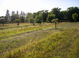 Venta de Campo de 95 hectáreas con 3 Casas en Solís, Dpto. de Canelones