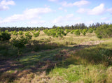 Venta de Campo de 95 hectáreas con 3 Casas en Solís, Dpto. de Canelones