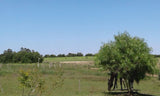 18 Hectáreas de Campo Agrícola Ganadero en Minas