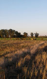 54 Hectáreas de Campo Agrícola Ganadero en Minas