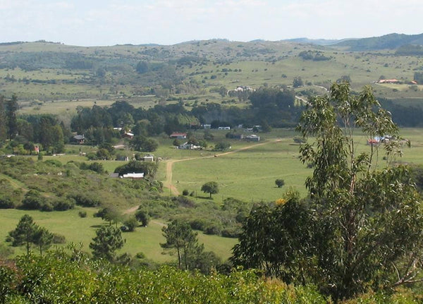 Venta de terreno en San Francisco de las Sierras Minas, zona Residencial.