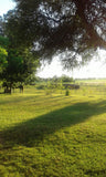 18 Hectáreas de Campo Agrícola Ganadero en Minas