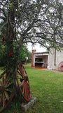 Casa con terreno grande en Aigua Maldonado
