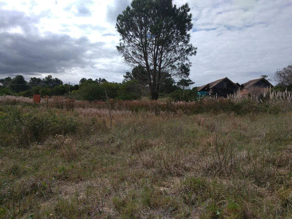 Venta de Terreno en Punta del Diablo, 20.900 Dólares, 520 metros cuadrados