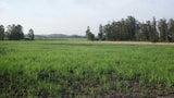 Campo de 2 hectáreas con Casa y Galpones, en Canelones.
