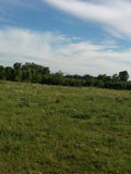 Venta de Campo de 72 has en Depto. de Flores.