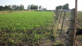 Campo de 2 hectáreas con Casa y Galpones, en Canelones.