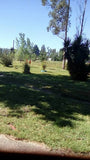 Venta de Chalet en Cerrillos, casi 2 Hectáreas de campo (1,8 Hás).