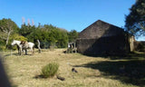 Venta de 87 hectáreas de Campo en Lavalleja