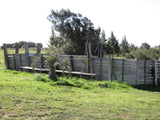 VENTA DE CHACRA, 15 HECTÁREAS EN ROCHA