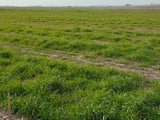 Venta de Campo de 72 has en Depto. de Flores.