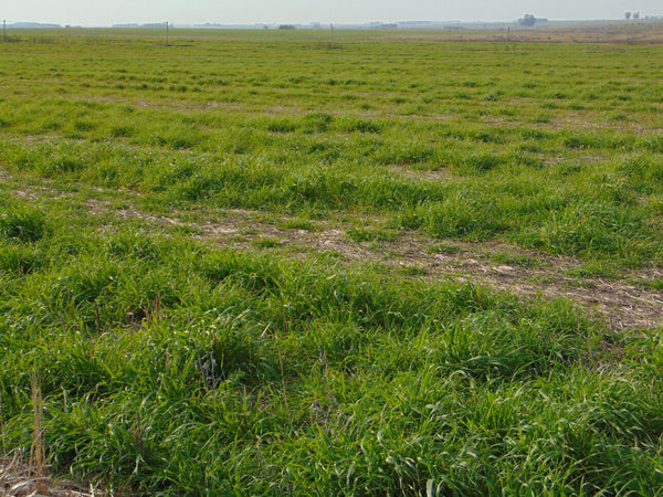 Venta de Campo de 72 has en Depto. de Flores.