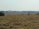 Venta de Campo de 72 has en Depto. de Flores.