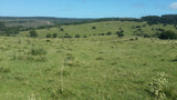 Venta de campo en Maldonado, 77 hectáreas, a 26 K de Rocha  Paraje Alférez  USD 3900 la Há