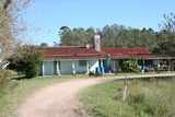 Venta de campo 19 hectáreas con casa y galpones. Cuatro Piedras