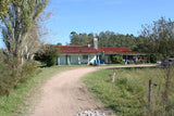 Venta de campo 19 hectáreas con casa y galpones. Cuatro Piedras