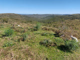 Venta de Campo en Rocha