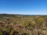 Venta de Campo en Rocha