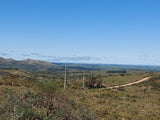 Venta de Campo en Rocha