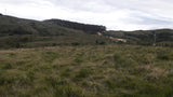 Venta de Campo en Rocha