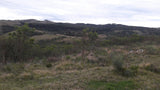 Venta de Campo en Rocha